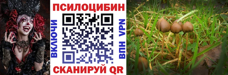 Галлюциногенные грибы прущие грибы Елизаветинская